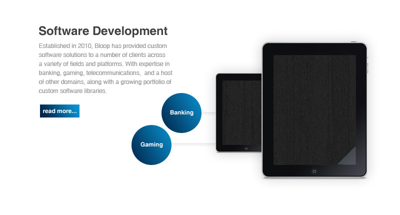 Software Development